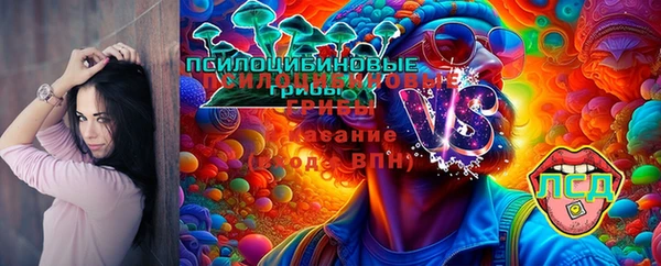 МДПВ Новозыбков