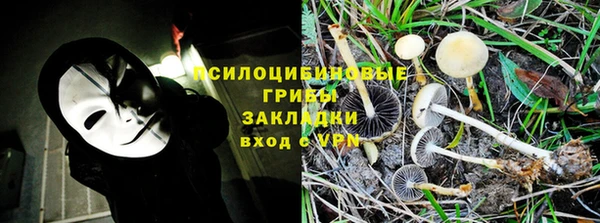 прущий лед Бердск